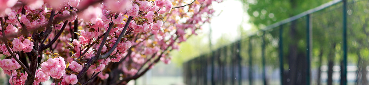 best365英国在线体育